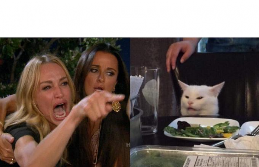 Women Yelling At Cat Meme Template Meme Templates