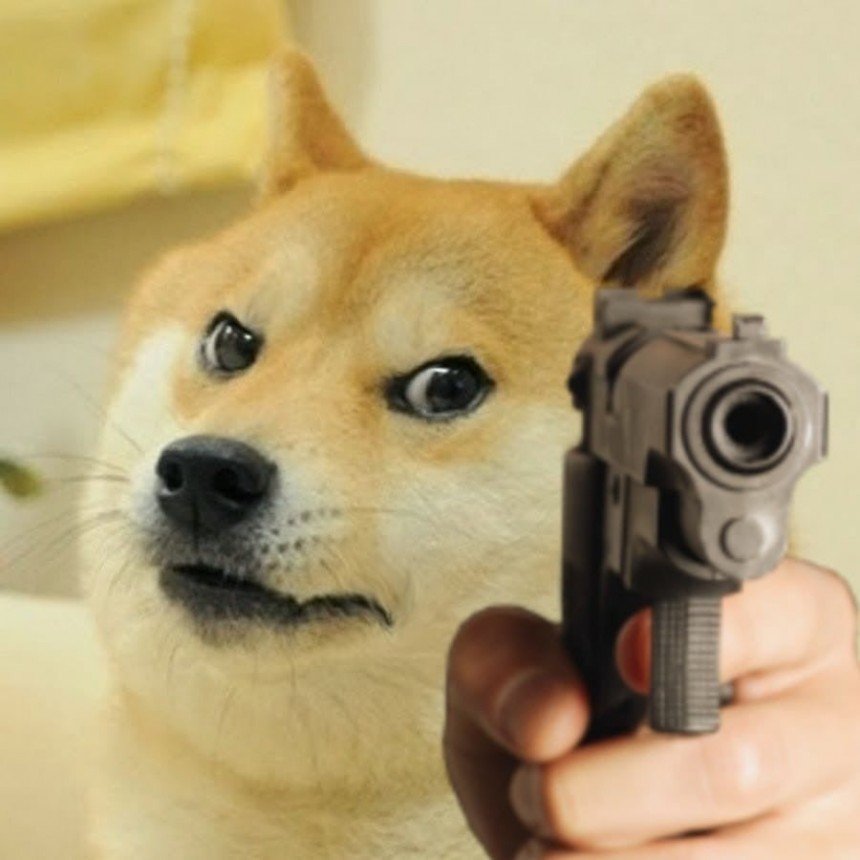 Doge Pointing Gun Meme Template