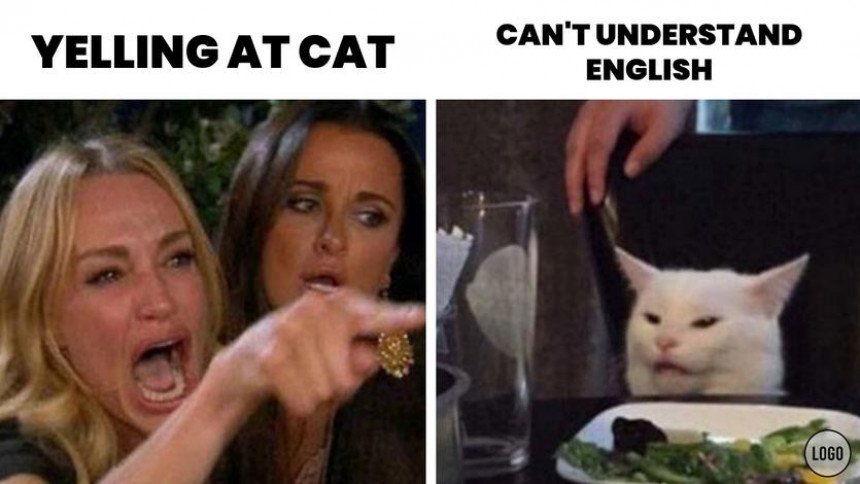 Woman Screaming At Cat Meme Template